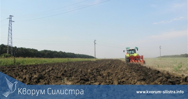 Над 181 000 декара с есенни култури са засети досега в Силистренско