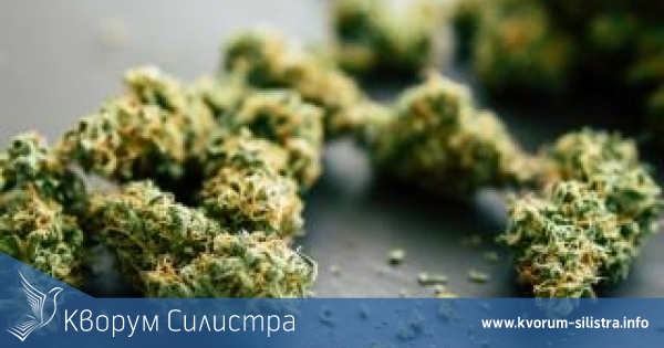 Ученик от Силистра задържан с 3 грама канабис