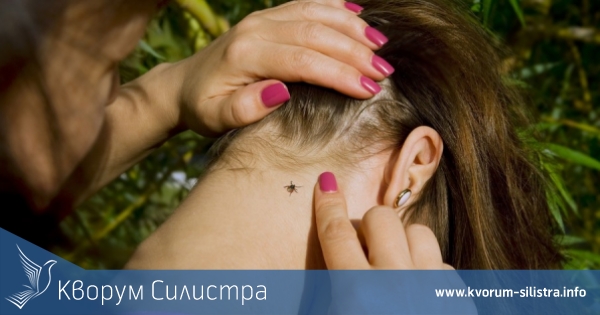 През октомври са регистрирани два потвърдени случая на лаймска болест след ухапване от кърлеж в Силистренско