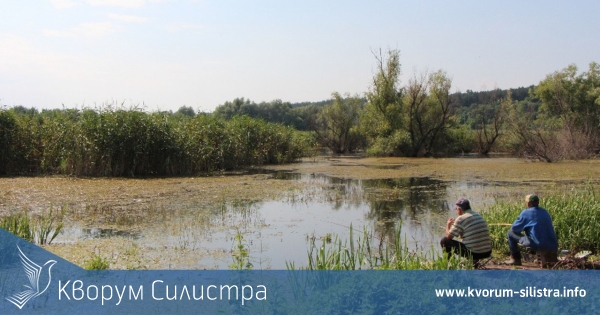 Съставени са три акта за нарушения за незаконен риболов в резервата "Сребърна"