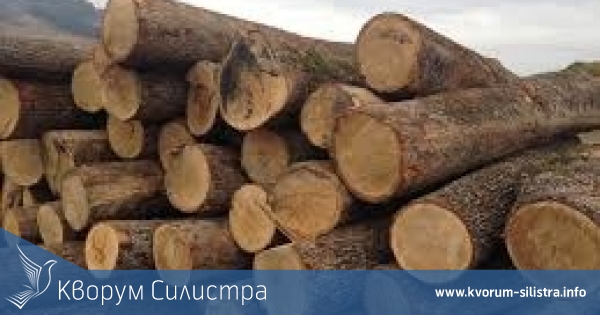 Заловиха 26-годишен с 80 броя незаконно придобити дървени трупи