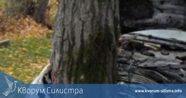 Две катастрофи в крайпътни дървета през почивните дни в Силистренско