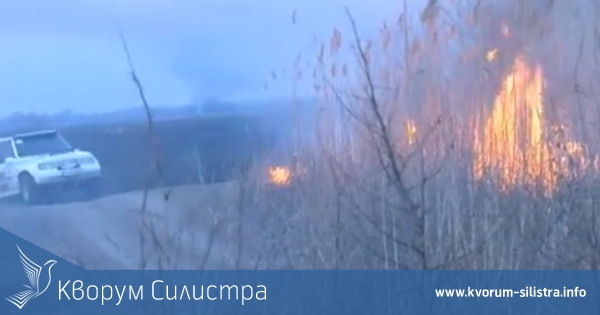 Тутраканските огнеборци загасиха пожара в защитената зона Калимок до Нова Черна