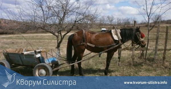 Закопчаха крадец на кон и каруца