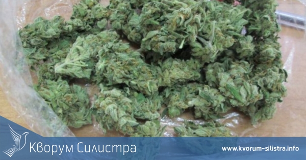 Окръжната прокуратура в Силистра привлича като обвиняем дилър, задържан с 200 грама канабис