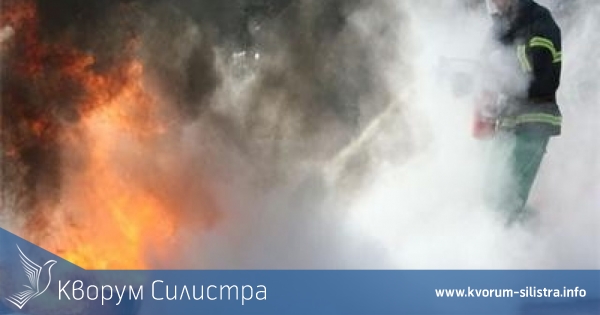 Широколистна гора и трафопост горяха вчера в Силистренско