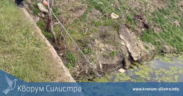 В община Силистра се провежда мониринг и се подготвя обработка против комарите