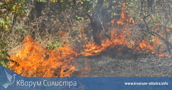 Пожари в Силистренско заради сухото и топло време