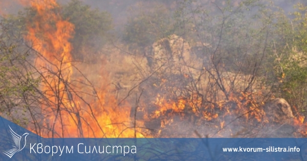 Високите за сезона температури подпалиха сухи треви до Полковник Ламбриново