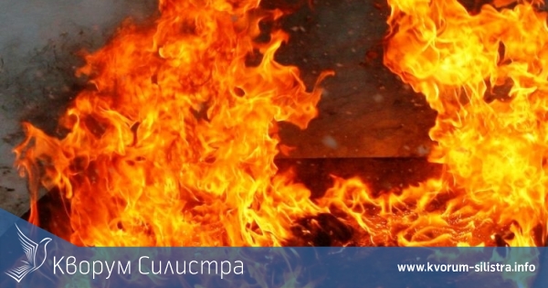 Спасиха 30 телета от огнен ад в Голеш