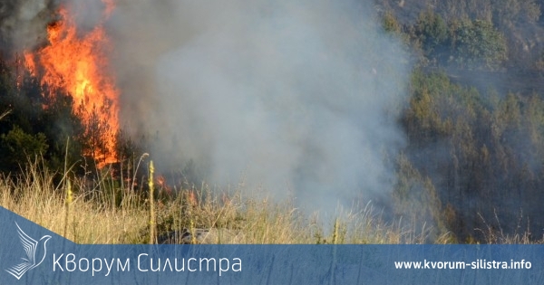 На девет места в областта горяха сухи треви