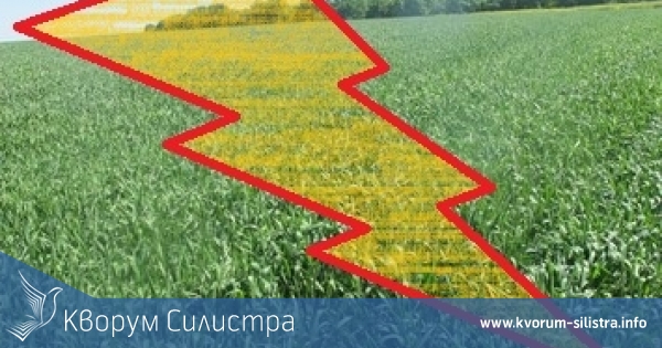 Напрежение в земеделието: Зърнопроизводители се жалват на много слаби валежи, от ОД "Земеделие" твърдят, че няма проблеми