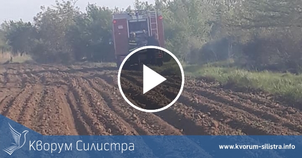 Зачестяват умишлените палежи на стърнища в Силистренско