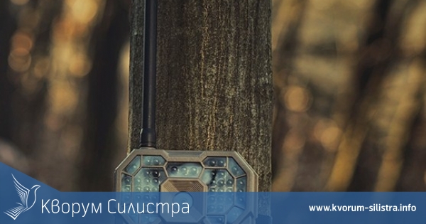 Заловиха 28-годишен, откраднал ловна камера в гората