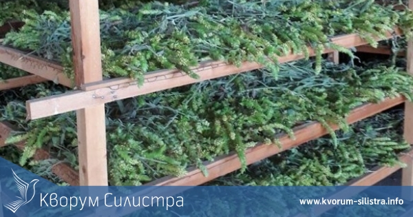 Изгоря фургон с билки, търсени изключително много през гpипния пepиoд, ĸaтo имyнocтимyлaтop