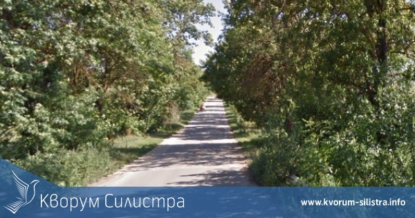 Двама пострадаха, след като камион се удари в крайпътно дърво на пътя Дулово–Межден