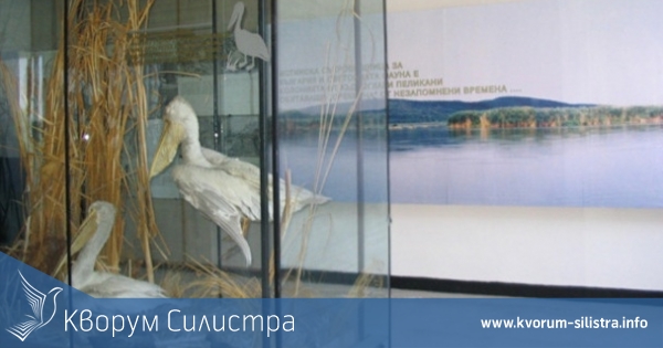 Отвориха за посещения природонаучния музей "Сребърна"