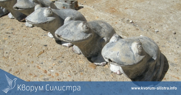 Задържаха вандала посегнал на 150-годишния шадраван в Дунавския парк на Силистра