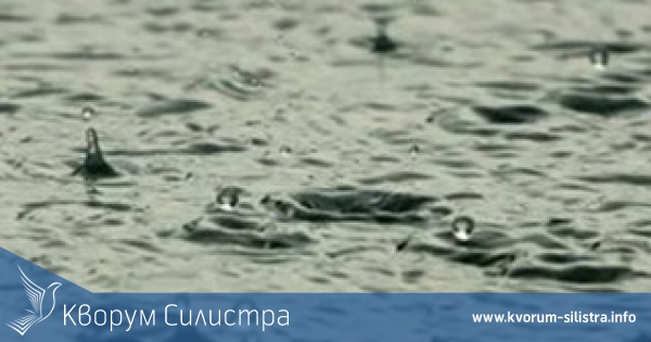 4 сигнала за отводняване в Тутракан след поройния дъжд