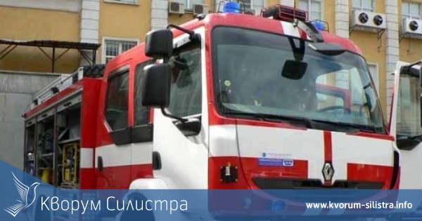 Пожарникарите в Тутракан спасиха змия пропълзяла в частно домакинство