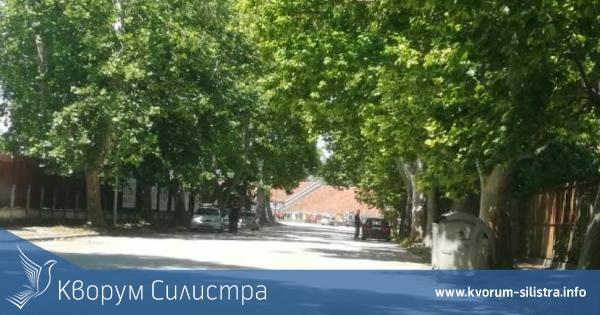 109 акта и 275 фиша съставени за една седмица в Силистренска област