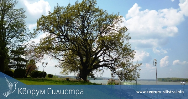 В Силистра ще се проведе почистване на крайбрежието на река Дунав