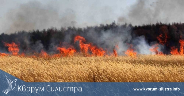 Огън изпепели 70 декара пшеница до силистренското село Смилец