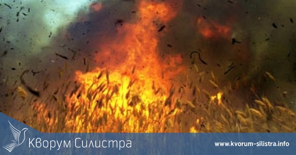 Само три декара пшеница изгоряха след бързата намеса на дуловските огнеборци