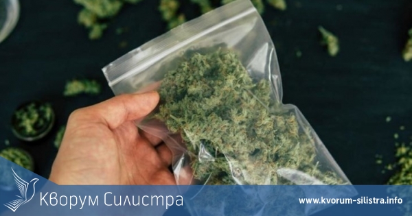 Оставиха в ареста за денонощие силистренец превозващ в колата си над 50 грама канабис