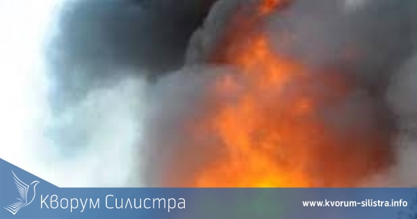 Цели 20 овце и едно яре изгоряха живи при пожар в Тутракан