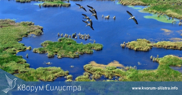 Ще почистят за 8,5 милиона лева от тиня и наноси езерото Сребърна