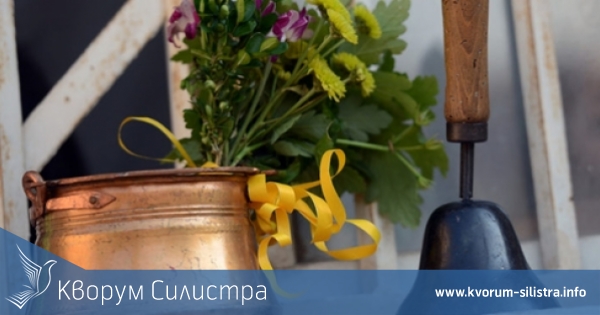 Новата учебна година в област Силистра започва в 44 училища и 24 детски градини