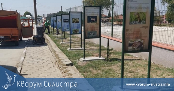 Дариха образователни табели на училището в село Искра