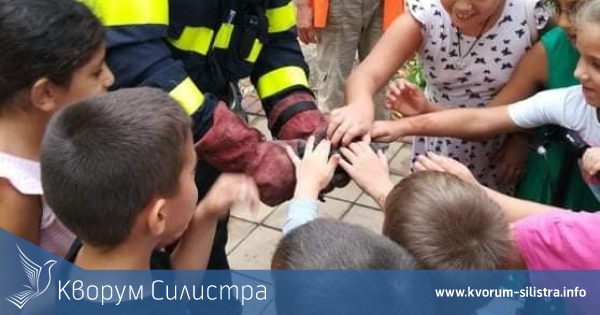 Пожарникарите спасиха гълъб в Дунавския парк на Силистра