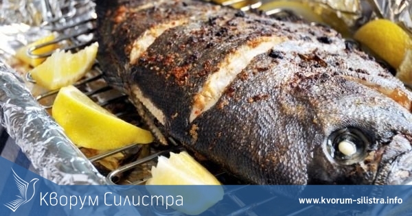 "Фестивал на рибата – вкусно и полезно" ще се проведе в Силистра