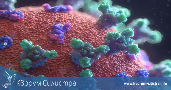 Заразата за денонощие: нови 4 с COVID-19 в Силистренско, след нов рекорд от 785 за страната