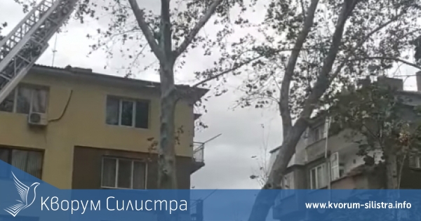 На множество сигнали за произшествия се отзоваха пожарникарите в Силистра