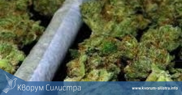 В Смолян са задържани двама мъже от Силистра за притежание на канабис