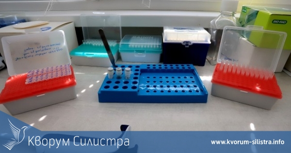 Заразата за денонощие: само 4 нови с COVID-19 в Силистренско, след абсолютен антирекорд от 2243 за страната