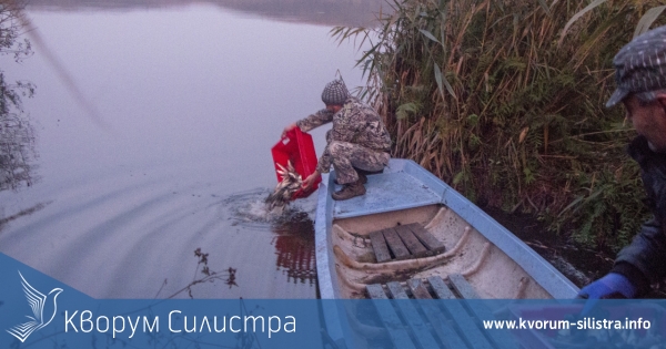 Приключи първият етап от зарибяването на езерото Сребърна до Силистра