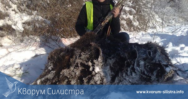 Шампионка по стрелба с лък удари глиган в първия си лов