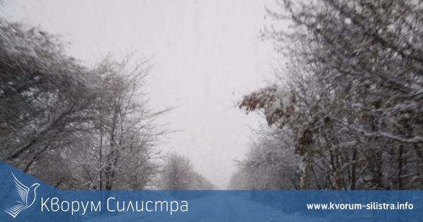 Два пожара в комини в Тутракан и множество паднали дървета в Силистренско на сметката на местните огнеборци