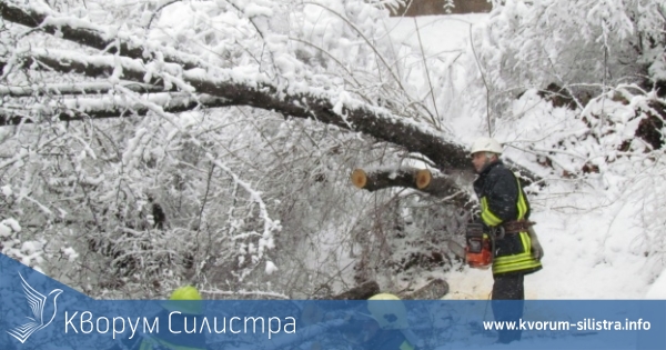 Пожар в комин, паднало на пътя дърво и самокатастрофирал автомобил на сметката на силистренските огнеборци