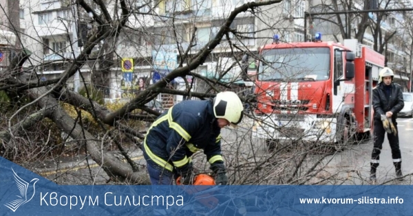 Силистренските пожарникари се преквалифицираха в дървосекачи