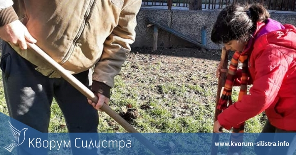Гражданска инициатива засади 100 дървета от вида липа в Силистра, Айдемир и Калипетрово