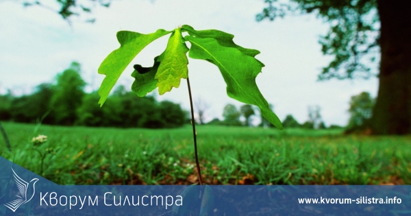 Гражданско обединение ще основе "Гората на бъдещето"