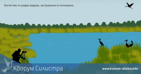 Учениците от начален курс на обучение от Силистра могат да вземат участие в конкурса на РИСВ-Русе