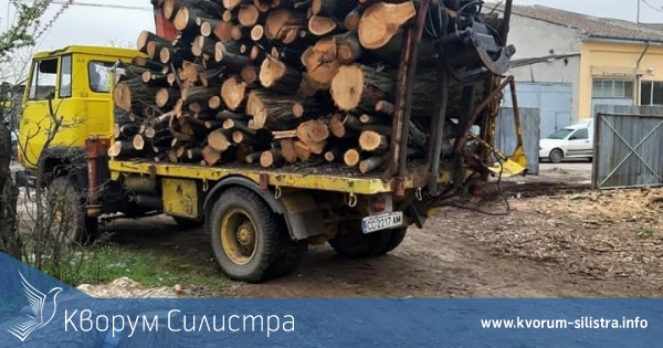 Тутраканска фирма мами горското, запечатаха обекта и за 6 месеца