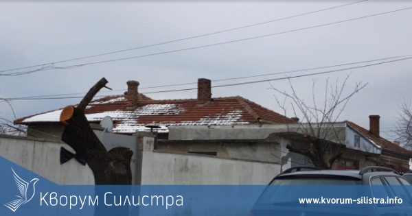 Резитба и гняв в силистренското село Калипетрово
