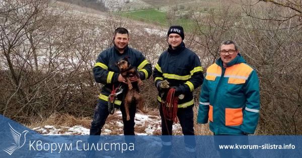 Гражданска защита Силистра спаси паднало в канал куче